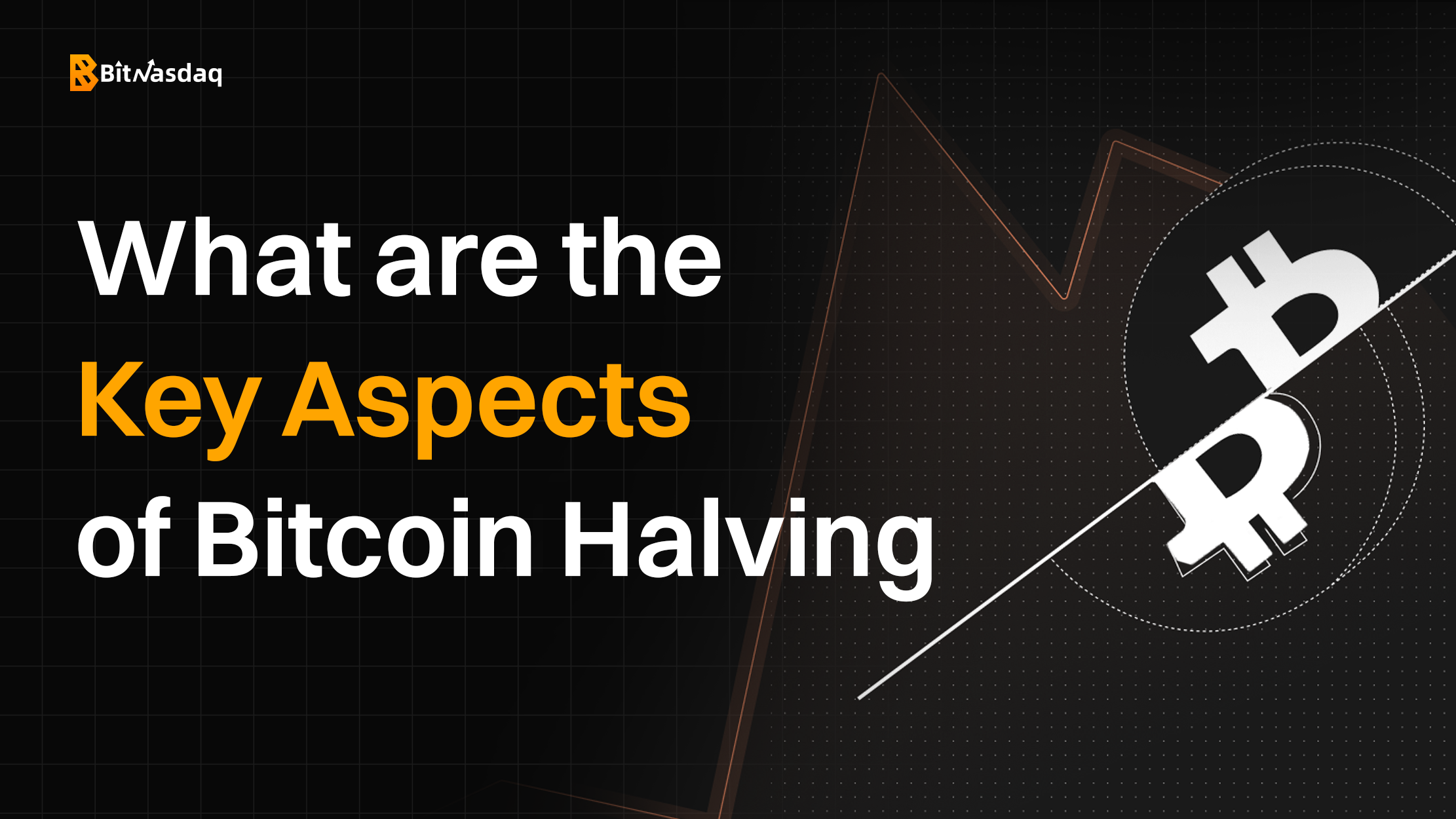 key aspects of bitcoin halving.png
